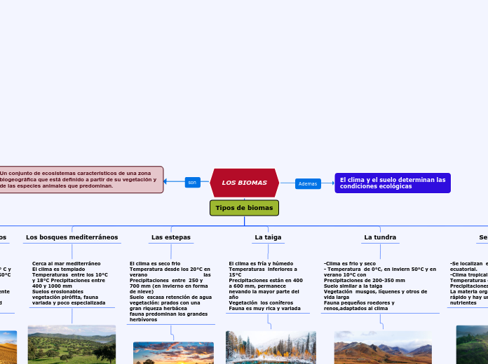 Los Biomas Mind Map The Best Porn Website